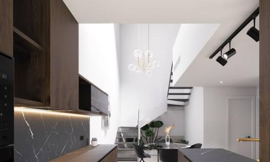 Nieuwbouw - Townhouse / Semi-detached - Pilar de la Horadada - parques de Andromeda