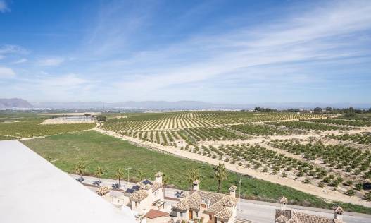 Nieuwbouw - Townhouse / Semi-detached - Algorfa - La Finca Golf
