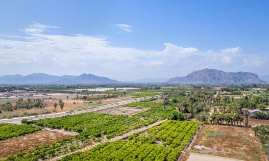 Nieuwbouw - Appartement - Jacarilla - pueblo