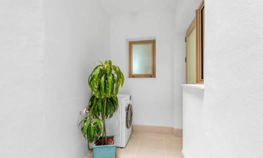 Nieuwbouw - Penthouse - Jacarilla - pueblo