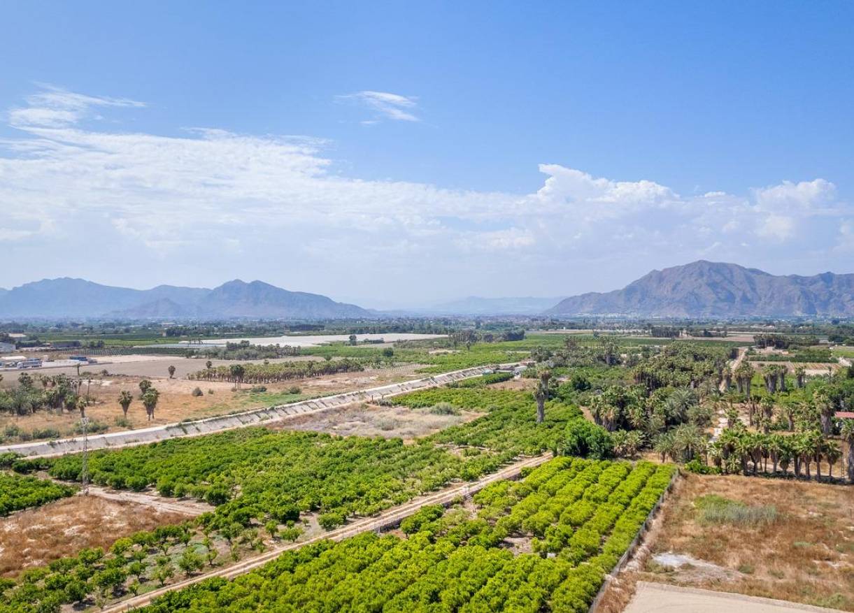 Nieuwbouw - Penthouse - Jacarilla - pueblo