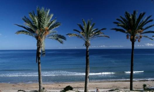 Nieuwbouw - Appartement - Pilar de la Horadada - Parque Ramon eugenio Escudero