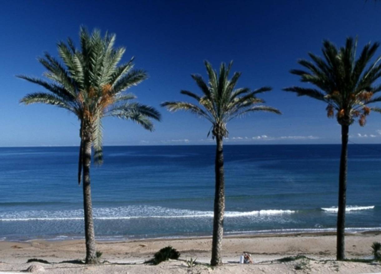 Nieuwbouw - Appartement - Pilar de la Horadada - Parque Ramon eugenio Escudero