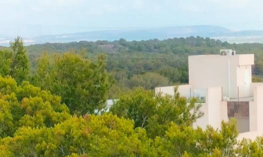 Nieuwbouw - Townhouse / Semi-detached - Orihuela Costa - Pau 26