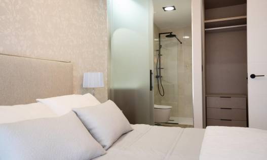 Nieuwbouw - Penthouse - Pilar de la Horadada - pueblo