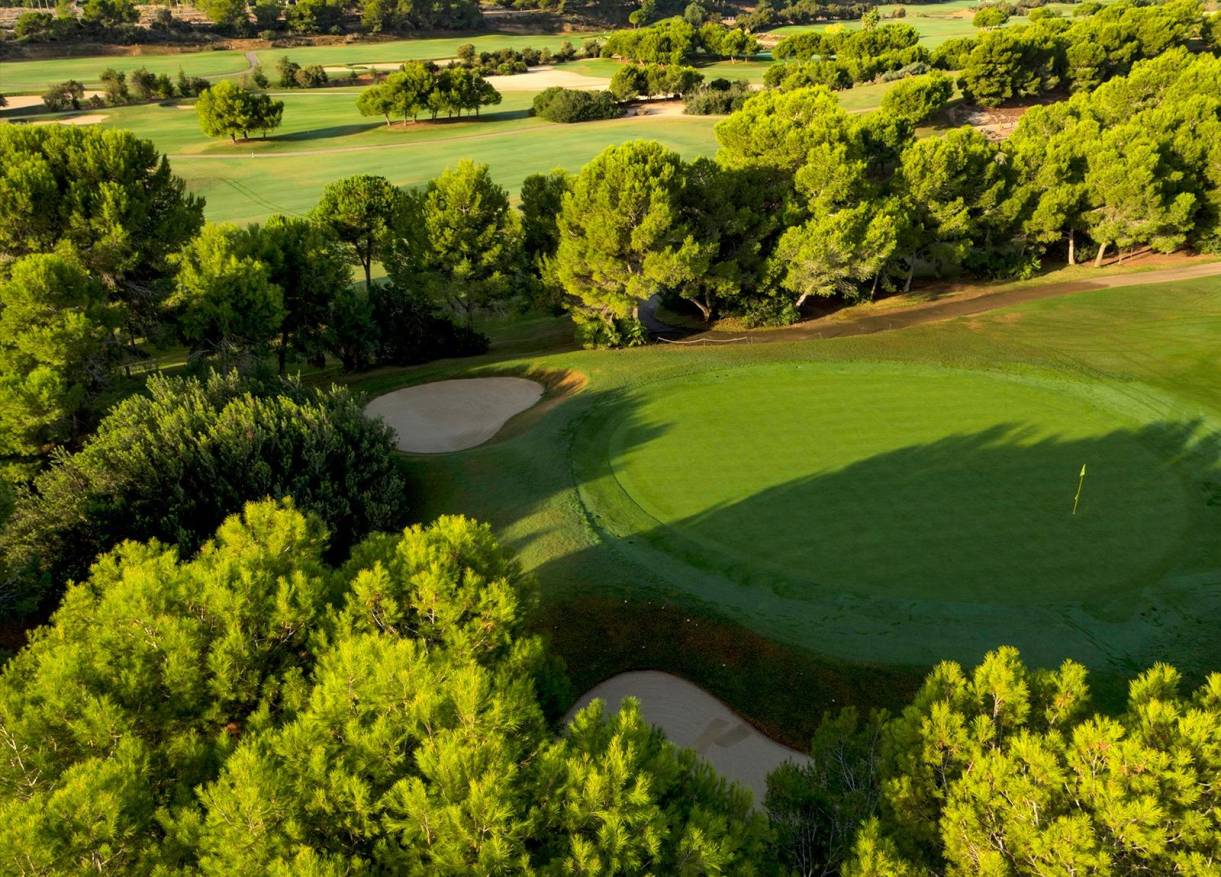 Nieuwbouw - Villa - Pilar de la Horadada - Lo Romero Golf