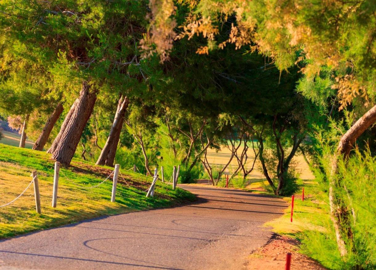 Nieuwbouw - Villa - Pilar de la Horadada - Lo Romero Golf