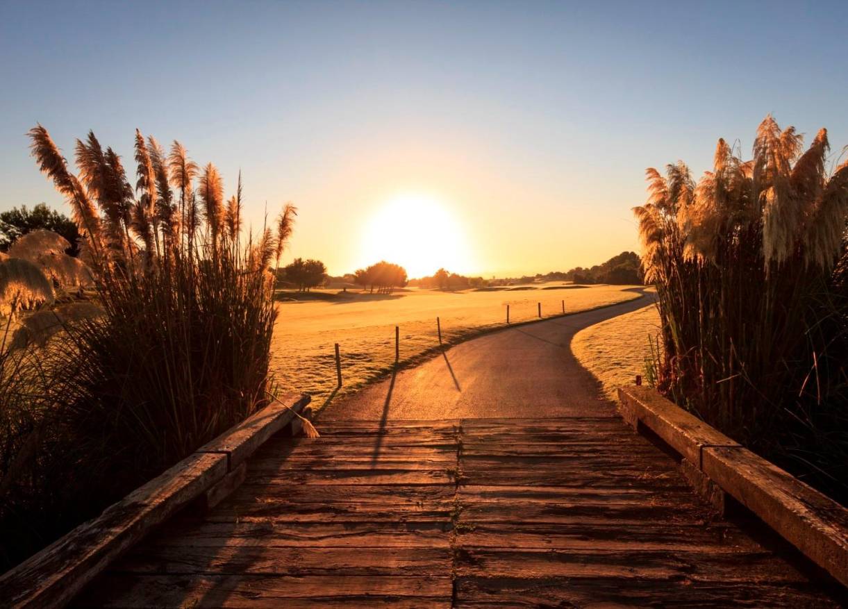 Nieuwbouw - Villa - Pilar de la Horadada - Lo Romero Golf