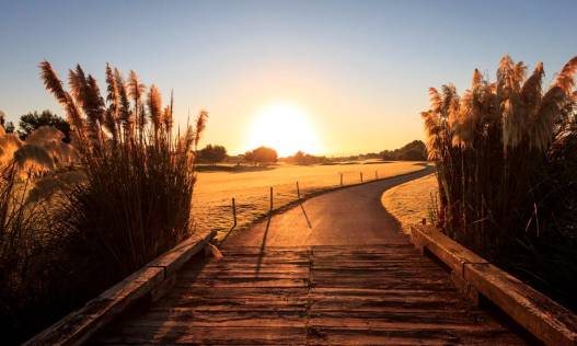 Nieuwbouw - Villa - Pilar de la Horadada - Lo Romero Golf