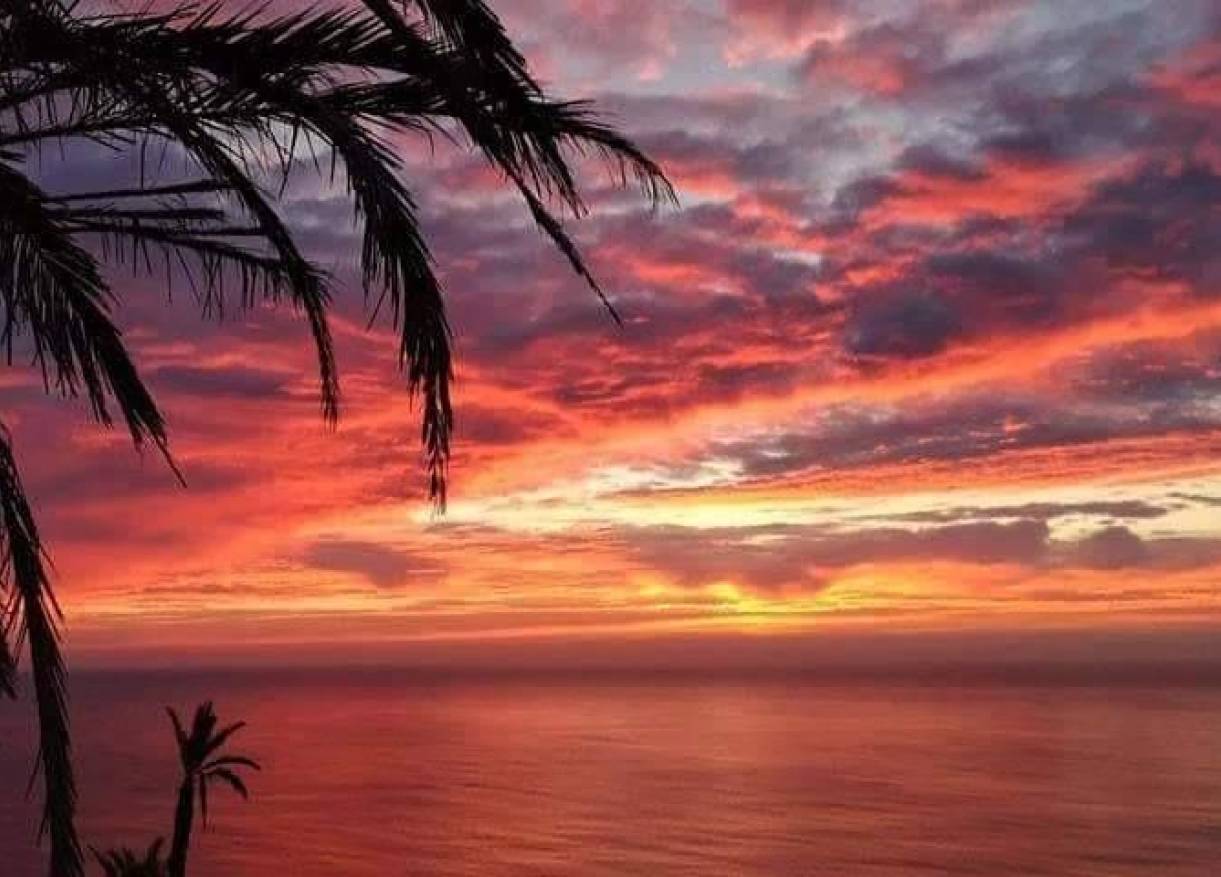 Nieuwbouw - Penthouse - Torrevieja - Altos del Sol