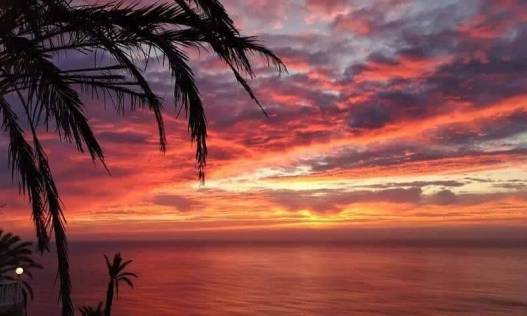 Nieuwbouw - Penthouse - Torrevieja - Altos del Sol