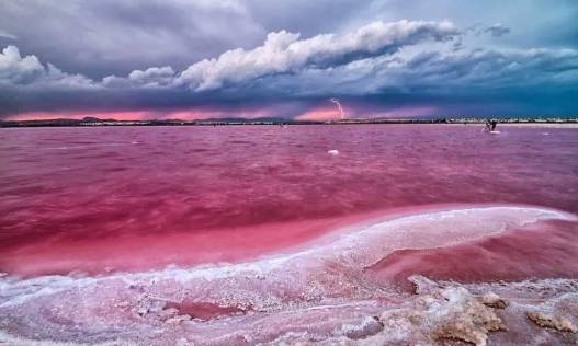 Nieuwbouw - Penthouse - Torrevieja - Altos del Sol