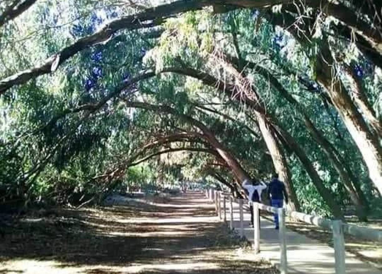 Nieuwbouw - Appartement - Torrevieja - Altos del Sol