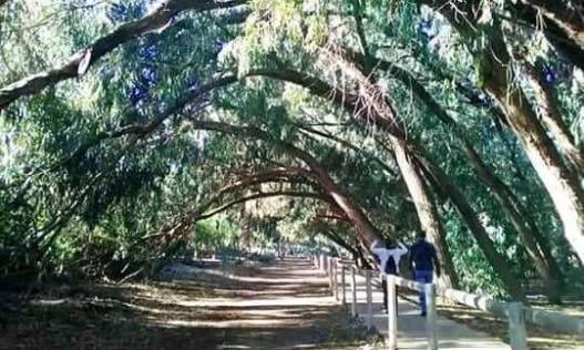 Nieuwbouw - Appartement - Torrevieja - Altos del Sol