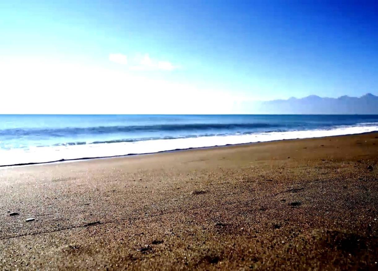 Nieuwbouw - Appartement - Torrevieja