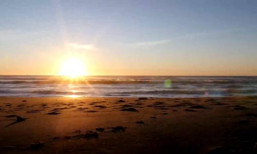 Nieuwbouw - Appartement - Torrevieja