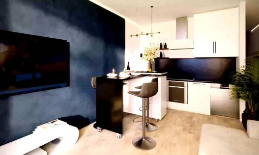 Nieuwbouw - Penthouse - Torrevieja