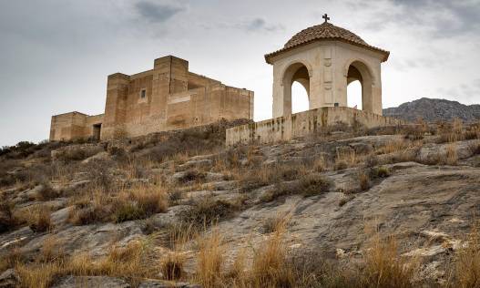 Nieuwbouw - Townhouse / Semi-detached - Cox - San Fernando