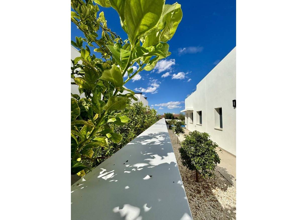 Nieuwbouw - Villa - Benijófar - Pueblo