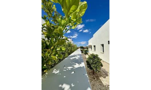 Nieuwbouw - Villa - Benijófar - Pueblo