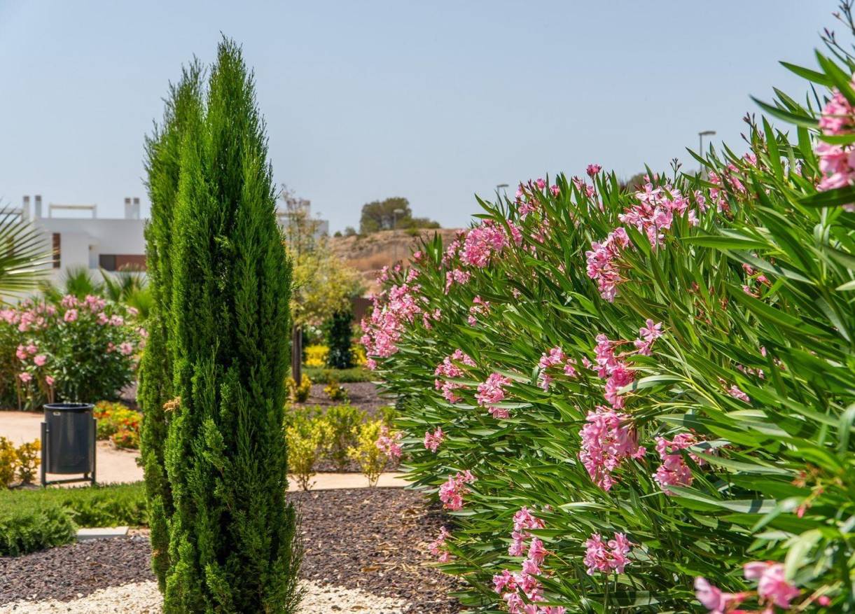 Nieuwbouw - Penthouse - Orihuela Costa - Vistabella golf