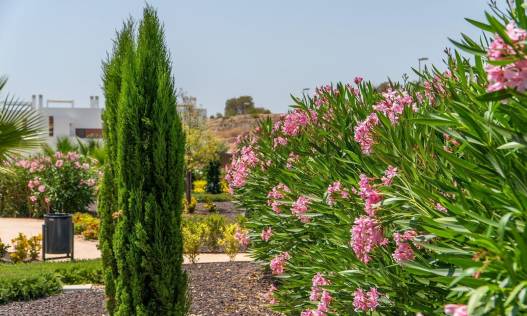 Nieuwbouw - Penthouse - Orihuela Costa - Vistabella golf