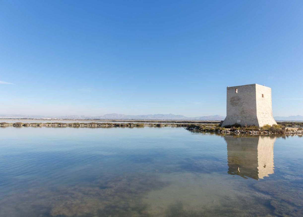 Nieuwbouw - Appartement - Santa Pola - Estacion de autobuses