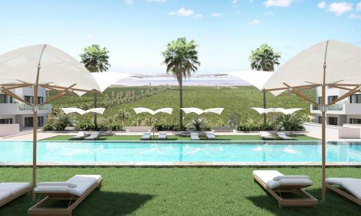 Nieuwbouw - Penthouse - Torrevieja