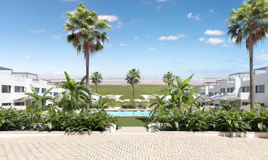 Nieuwbouw - Penthouse - Torrevieja
