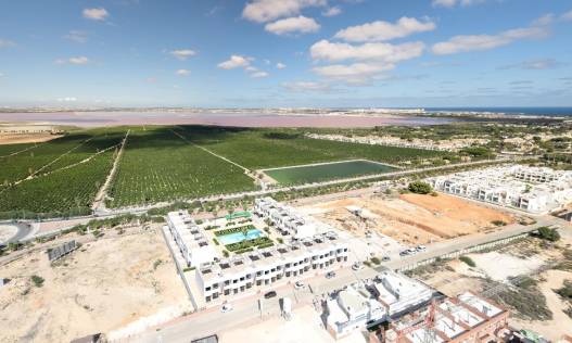 Nieuwbouw - Penthouse - Torrevieja