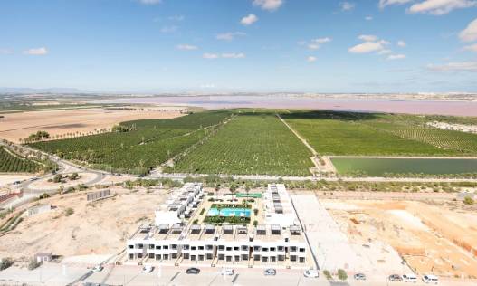Nieuwbouw - Penthouse - Torrevieja