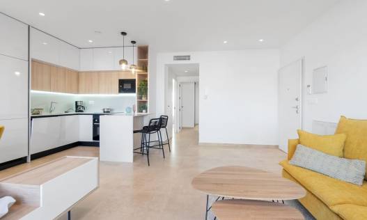 Nieuwbouw - Penthouse - Torrevieja