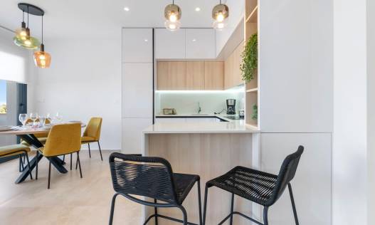Nieuwbouw - Penthouse - Torrevieja