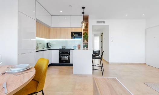 Nieuwbouw - Penthouse - Torrevieja