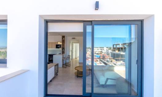 Nieuwbouw - Penthouse - Torrevieja