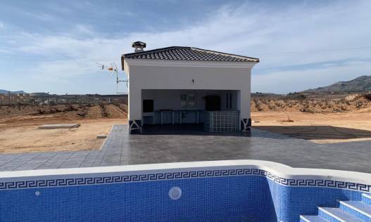 Nieuwbouw - Villa - Pinoso - Camino Del Prado