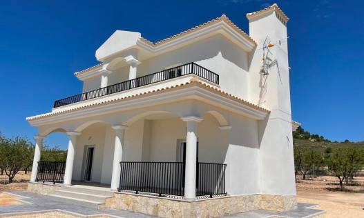 Nieuwbouw - Villa - Pinoso - Camino Del Prado
