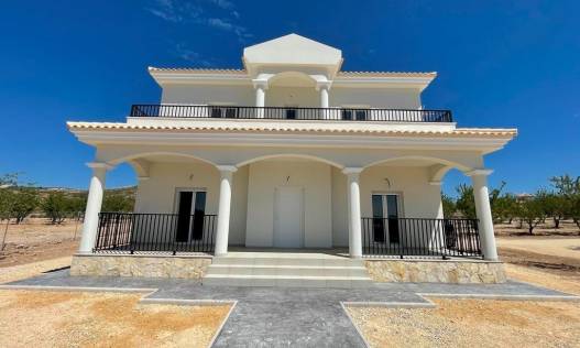 Nieuwbouw - Villa - Pinoso - Camino Del Prado