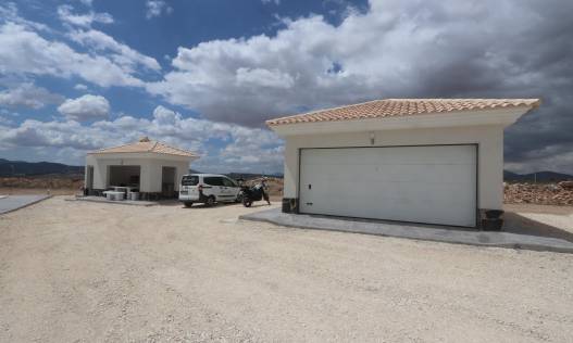 Nieuwbouw - Villa - Pinoso - Camino Del Prado
