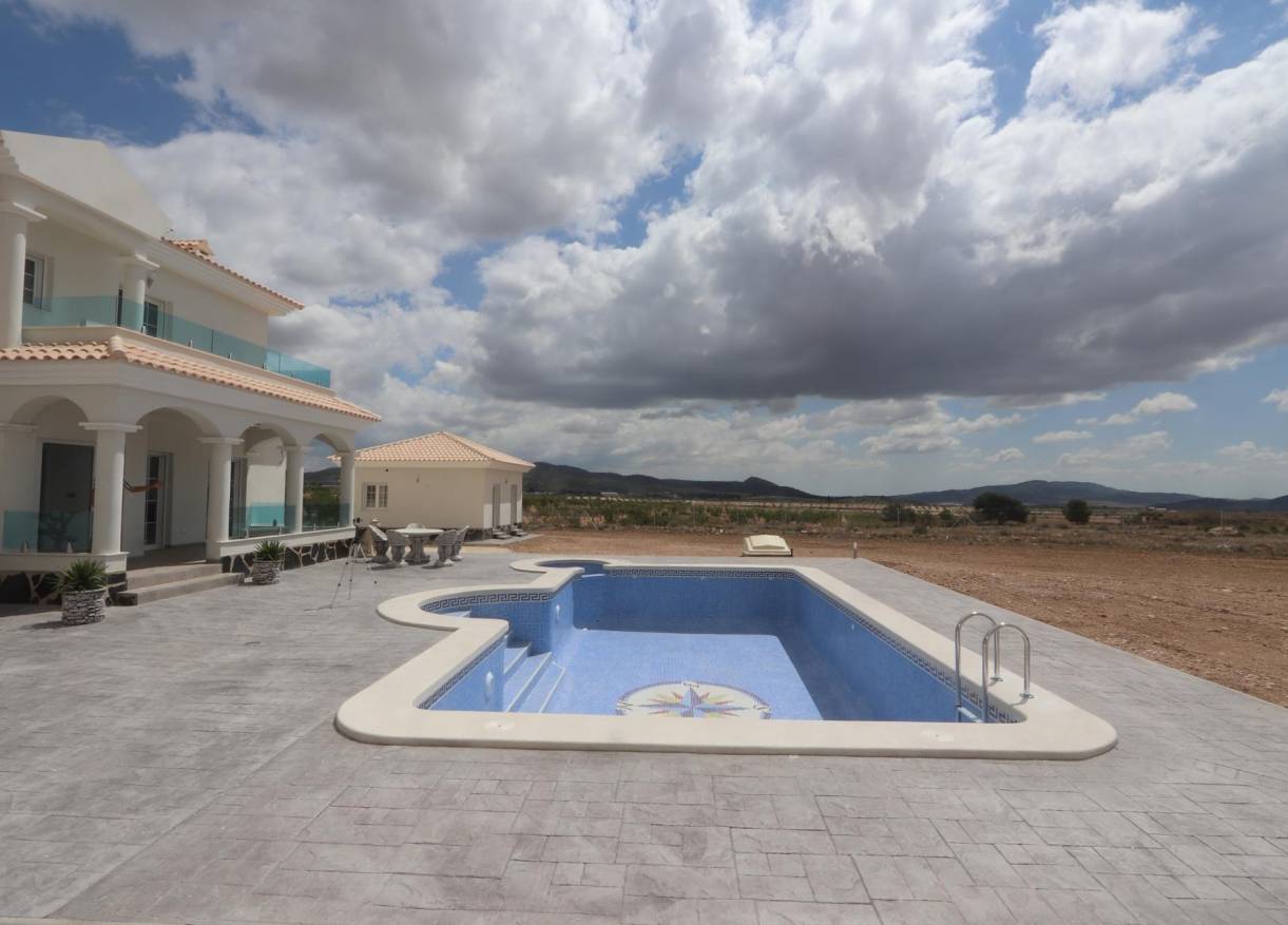 Nieuwbouw - Villa - Pinoso - Camino Del Prado