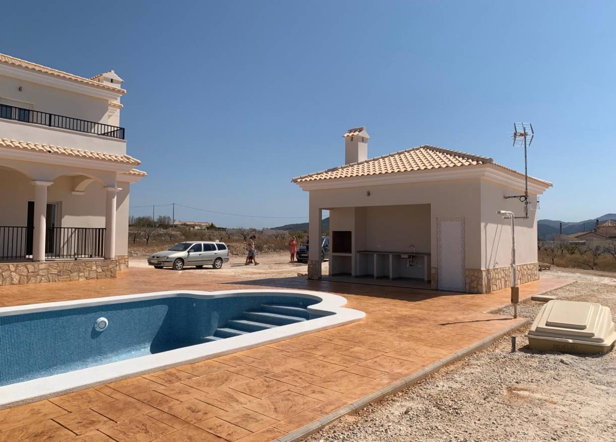 Nieuwbouw - Villa - Pinoso - Camino Del Prado