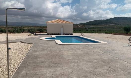Nieuwbouw - Villa - Pinoso - Camino Del Prado