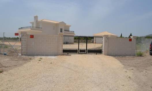 Nieuwbouw - Villa - Pinoso - Camino Del Prado