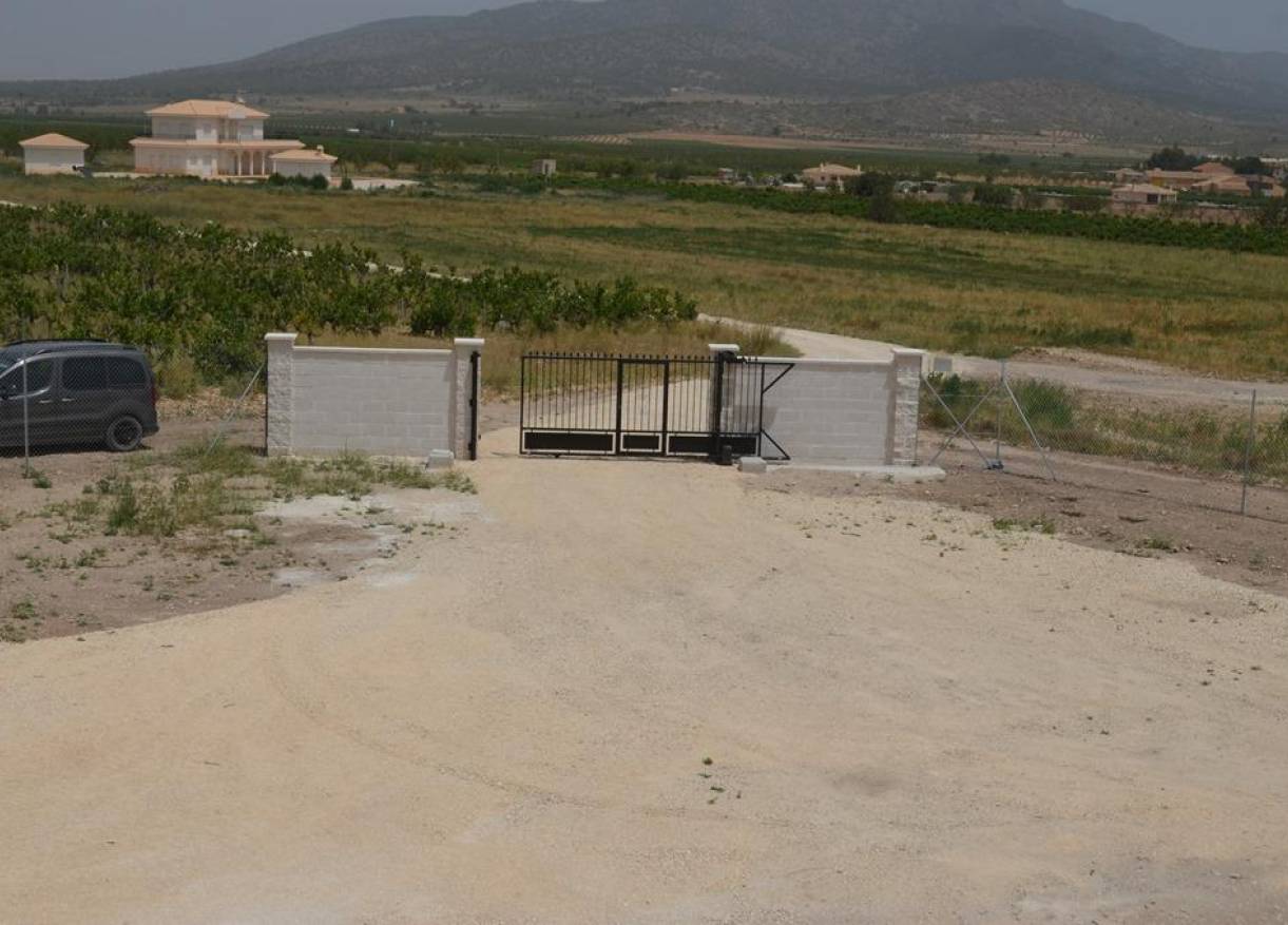 Nieuwbouw - Villa - Pinoso - Camino Del Prado