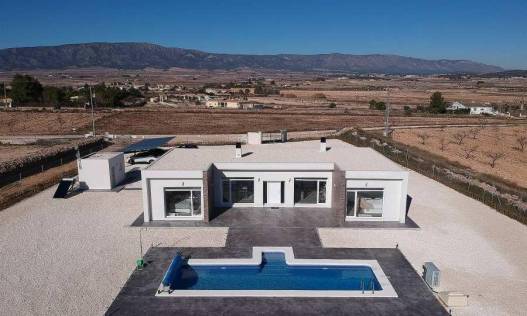 Nieuwbouw - Villa - Pinoso - Camino Del Prado