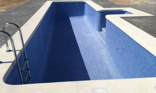 Nieuwbouw - Villa - Pinoso - Camino Del Prado