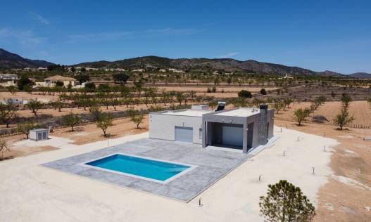 Nieuwbouw - Villa - Pinoso - Camino Del Prado