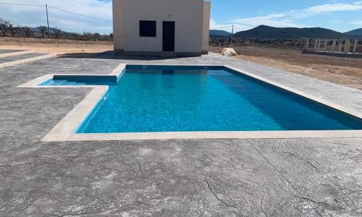 Nieuwbouw - Villa - Pinoso - Camino Del Prado