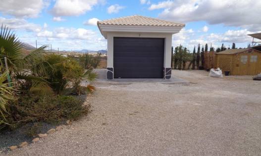 Nieuwbouw - Villa - Pinoso - Camino Del Prado