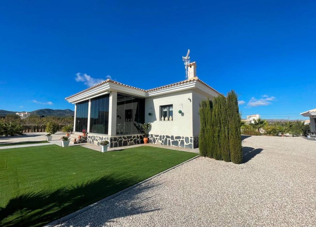 Nieuwbouw - Villa - Pinoso - Camino Del Prado
